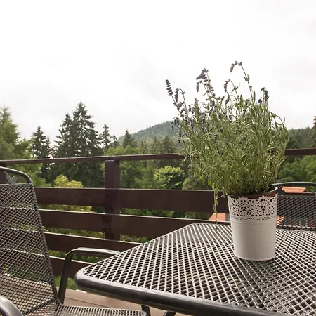 Auszeit-im-harz Haus 2 3