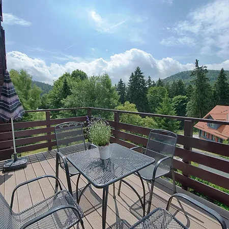 Auszeit-im-harz Haus 2 3 Apartmán *