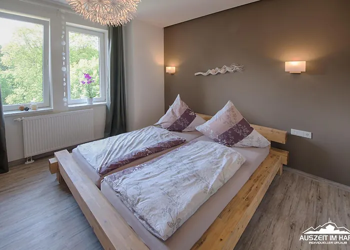 Auszeit-im-harz Haus 2 3 * 施尔奇