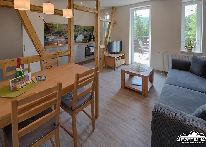 Apartamento Auszeit-im-harz Haus 2 3 *