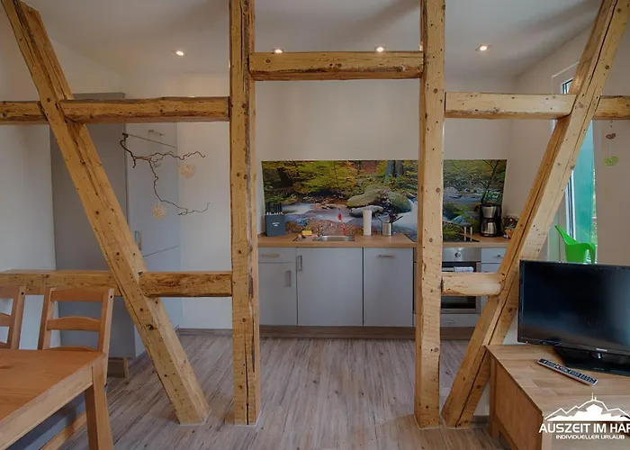 Auszeit-im-harz Haus 2 3 Apartamento *