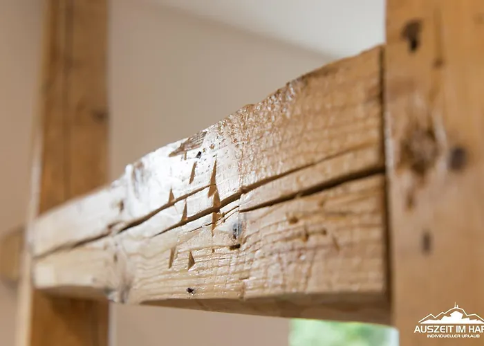 Auszeit-im-harz Haus 2 3 *