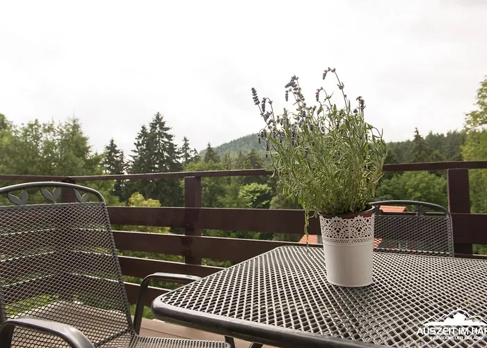 Auszeit-im-harz Haus 2 3